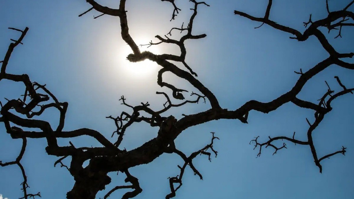 Inmet faz alerta para onda de calor e baixa umidade